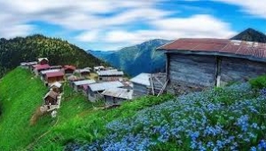 Kaçkar Yaylası ve Kaçkar Dağları Turizm Merkezi