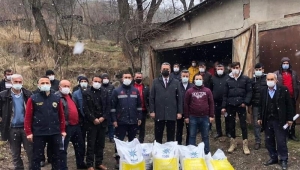 Ordu'da Atıl Tarım Arazileri Üretime Kazandırılıyor