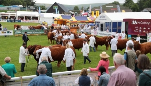  Royal Welsh Show Kovid nedeniyle 2022'ye ertelendi..