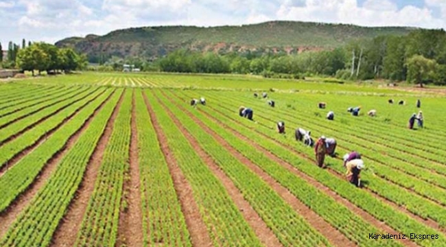 Tarım ve hayvancılık milli ekonominin ve ülke kalkınmasının temelidir