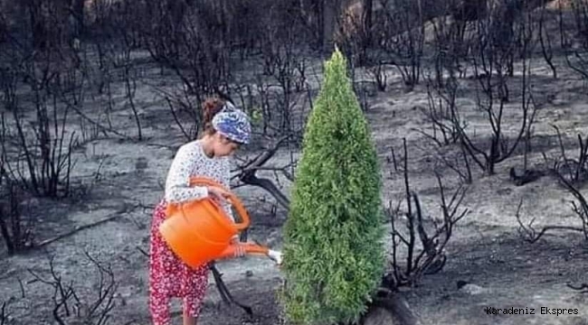 Tüketim kültürü size önce tüketmeyi öğretir...