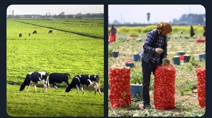 Başarılı bir tarımsal kalkınma için;...