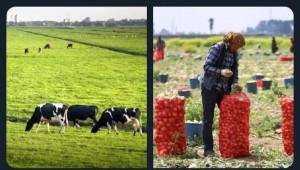 Başarılı bir tarımsal kalkınma için;...