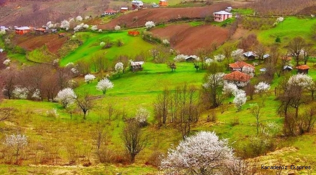 Ben içimdeki çocuğu götürüyorum dağlara 