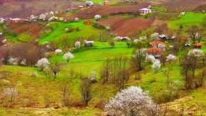 Ben içimdeki çocuğu götürüyorum dağlara 