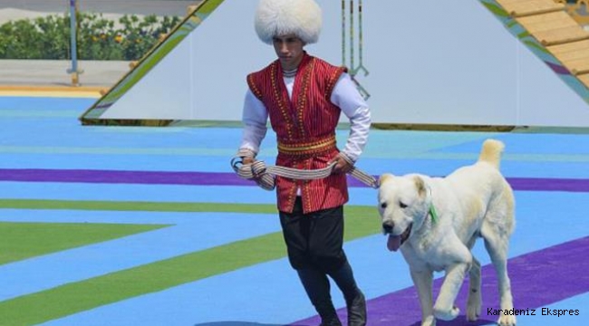 Çoban köpeği ırkının altın heykelini dikmek yetmedi! Onuruna bir de ulusal bayram ilan ettiler