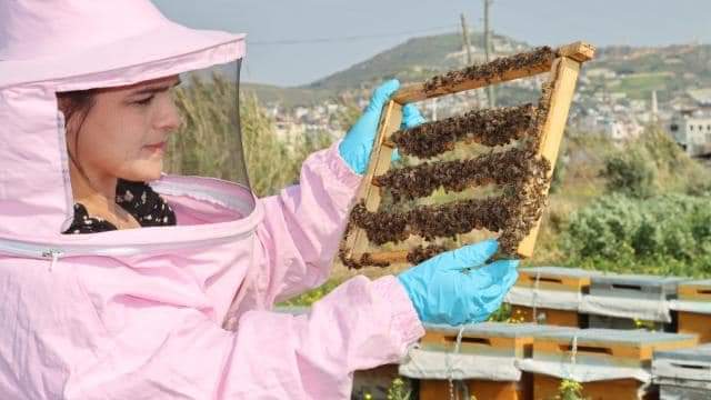 ÇOCUKLARINA DOĞAL BAL YEDİRMEK İÇİN ARICILIĞA BAŞLAMIŞ 