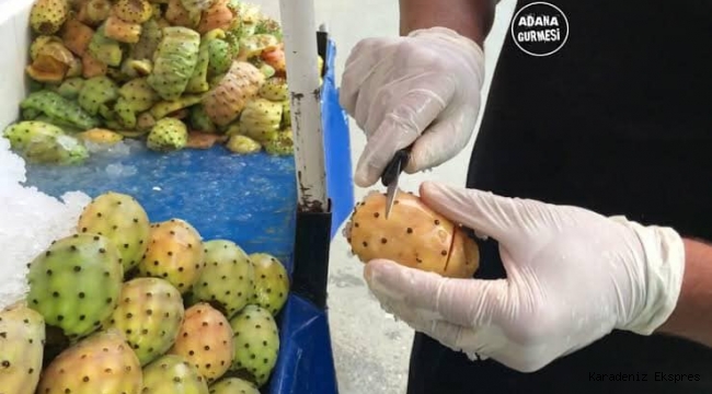 Doğada kendiliğinden çıkan buz üzerindeki mucize meyve