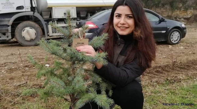 FATSA DOLUNAY MESİRE ALANI BENZERSİZ TURİZM ALANINA SAHİP OLACAK