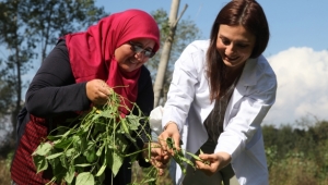 Güçlü Tarım Sürdürülebilir Güvenli Gıda