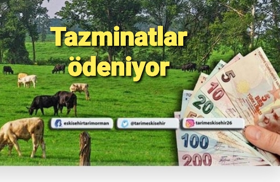 Hastalık nedeniyle imha edilen hayvanların bedelleri tazminat olarak ödeniyor
