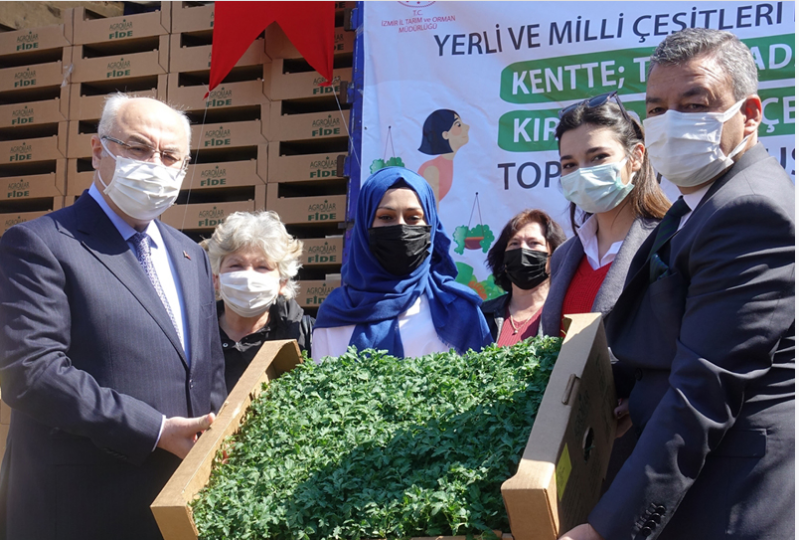 İzmir'de yerli tohumlardan elde edilen sebze fideleri 15 bin kadına dağıtılıyor