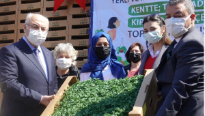 İzmir'de yerli tohumlardan elde edilen sebze fideleri 15 bin kadına dağıtılıyor