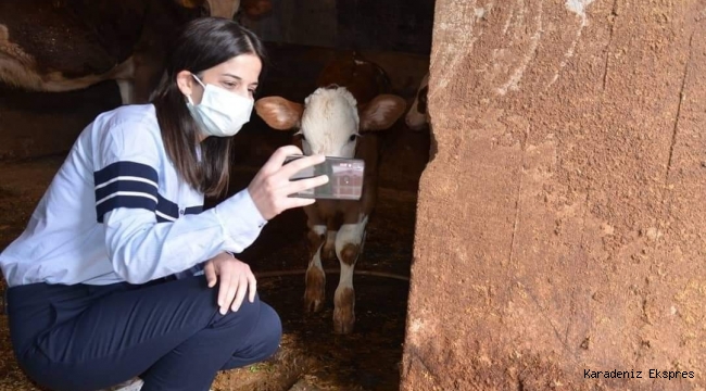 Kaymakam Seda Ünlü Hanımı Kabataşlılar Çok Sevdi