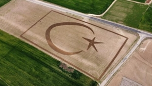 Kırşehir’de Çiftçinin Traktörle Tarlasına Çizdiği Şekli Görenler Büyülendi! İşte O Anlar
