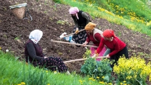 KÖYE DÖNÜŞ PROJESİ