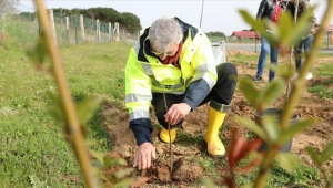 Melen Botanik Cennet Vadisi, tıbbi ve aromatik bitkilerin organik üretim merkezi oldu