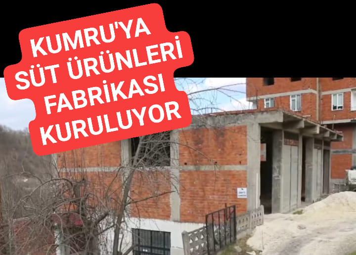 Ordu'nun Kumru İlçesine Süt Fabrikası Kuruluyor