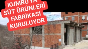 Ordu'nun Kumru İlçesine Süt Fabrikası Kuruluyor