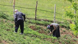 Şehirden köye dönenlere büyük teşvik geliyor! Vergiden bile muaf olacaklar