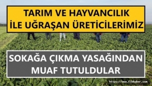 TAM KAPANMA GÜNLERİNDE TARLANIZA ,BAHÇENİZE GİDEBİLMEK İÇİN GEREKLİ BİLGİ ÇKS BELGESİ NASIL ÇIKARILIR