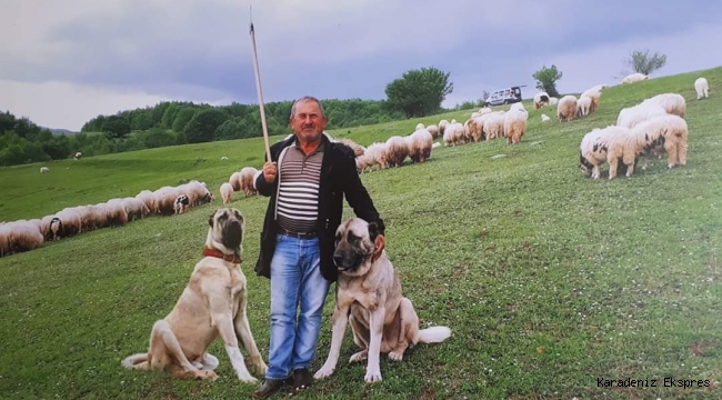 Tarım Kredi, Kurban Bayramı öncesi yeni kredi kampanyası başlattı