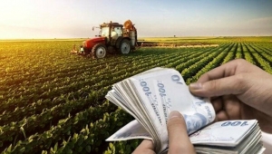 Tarımsal destek ödemeleri bugün üreticilerin hesaplarına yatırılacak