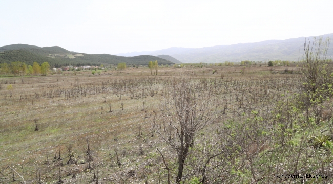 TOKAT NİKSAR'A JEOTERMAL TEKNOLOJİK SERA KURULUYOR