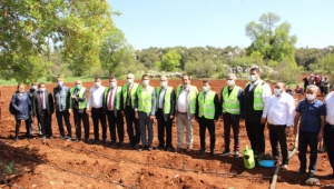 TORAK, Silifke’de 10 Bin Lavanta Fidesinin Dikimini Gerçekleştirdi