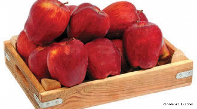 Uşak'ta 320 bin ton elma çürümeye terk edildi! 