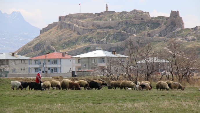 Yaylaya çıkmak için gün sayıyor.