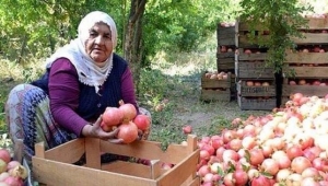 Zivzik Narı: Bu nar için 