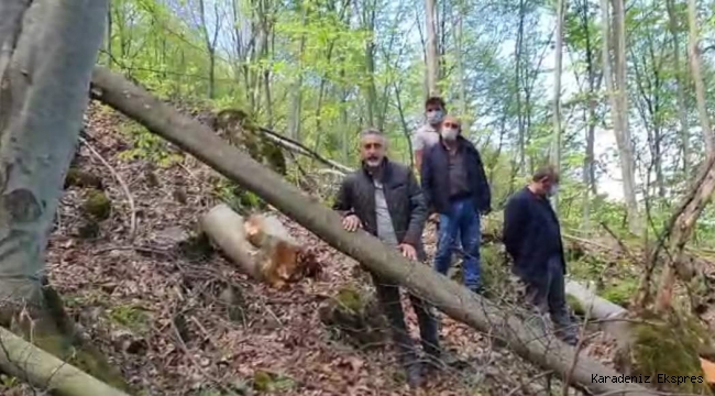 Adıgüzel : Ormanlarda seri katiller var 