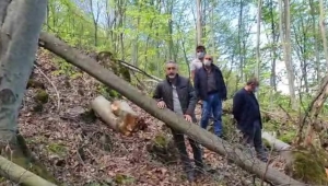 Adıgüzel : Ormanlarda seri katiller var 