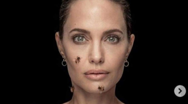 Angelina Jolie 18 dakika kıpırdamadan arılarla poz verdi
