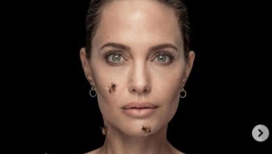 Angelina Jolie 18 dakika kıpırdamadan arılarla poz verdi