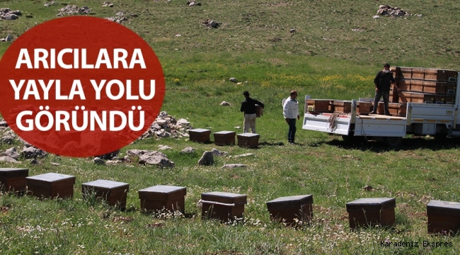 Arıcılara yayla yolu göründü