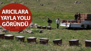 Arıcılara yayla yolu göründü