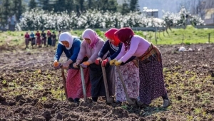 ''Çiftçimiz Alması Gereken Desteği Alamıyor'' 