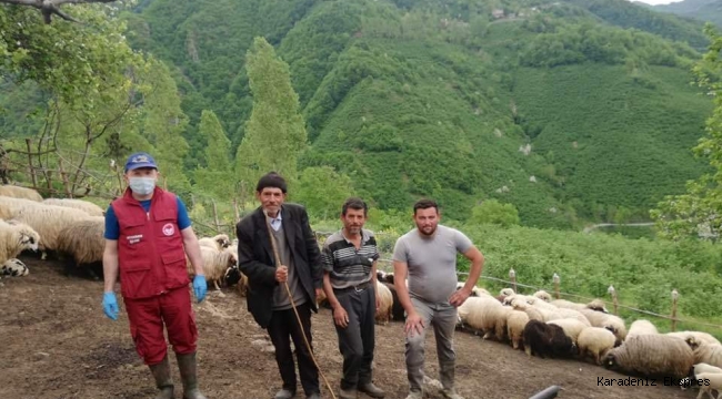 Dede,Oğul ve Torun üç nesil koyunculukla uğraşıyor 