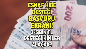 Esnaf hibe desteği başvuru ekranı (e-Devlet), 5 bin TL-3 bin TL hibe desteği başvurusu nasıl yapılır, kimlere verilecek?