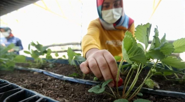 FEDAKÂR ÖĞRETMENLER, 'ÖZEL ÖĞRENCİLER' İÇİN TOPRAĞA DOKUNUYOR 