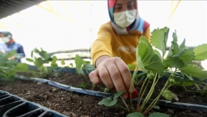 FEDAKÂR ÖĞRETMENLER, 'ÖZEL ÖĞRENCİLER' İÇİN TOPRAĞA DOKUNUYOR 