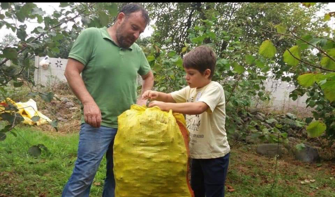 Fındık üreticisine 854 milyon TL alan bazlı destek 