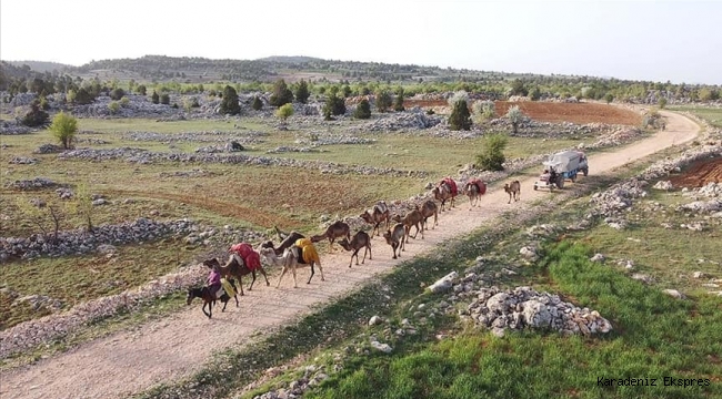 İşte doğal hayat, işte doğal gıda!