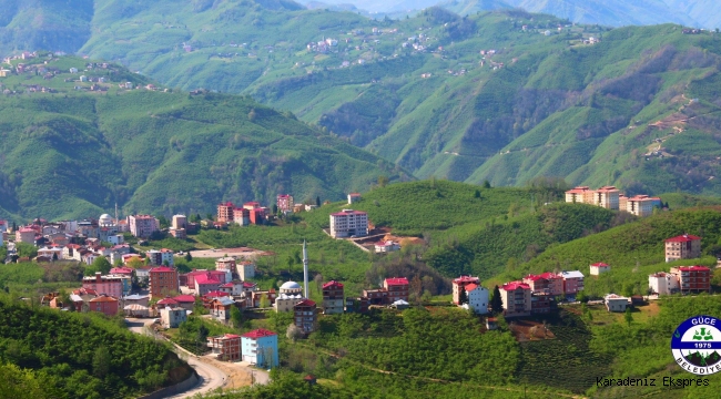 Karadeniz yaylalarının eşsiz ve kendine özgü güzelliklerini yansıtan Güce Yaylaları