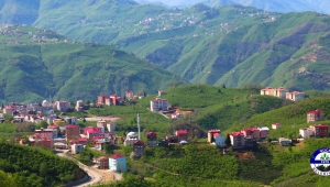 Karadeniz yaylalarının eşsiz ve kendine özgü güzelliklerini yansıtan Güce Yaylaları