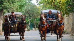 KAYIP ATLAR SUCUK MU OLDU?