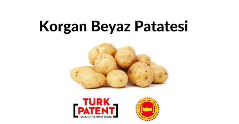 Korgan Beyaz Patatesi Coğrafi İşaret çalışmaları devam ediyor 