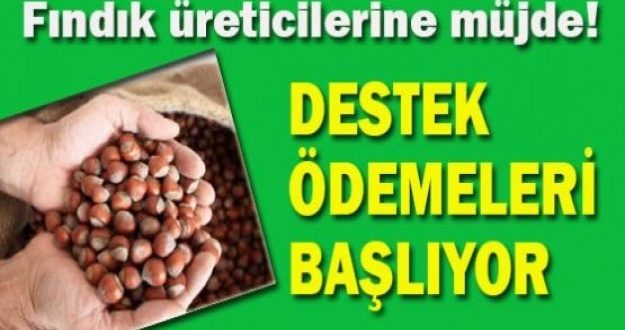 Ordu da Alan bazlı destekleme ödemeleri cuma gününden itibaren ödenmeye başlıyor